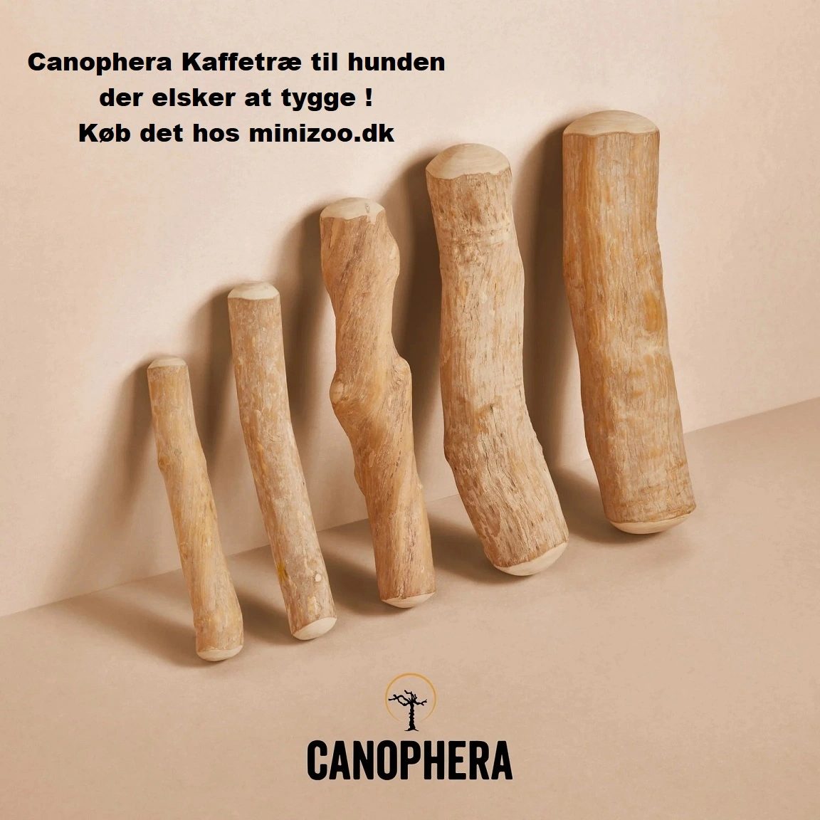 Canophera Kaffetræ S - naturligt tyggelegetøj til små og mellemstore hunde